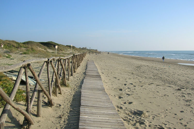 Spiaggia di Capocotta